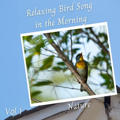 Canary Singing By Native American Nature, relax tunes, Pure Work Music's cover