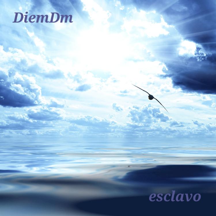 DiemDm's avatar image