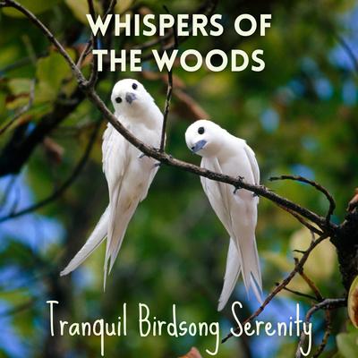 Whispers of the Woods: Tranquil Birdsong Serenity's cover