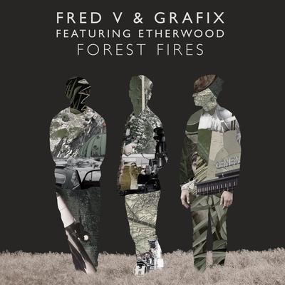 Forest Fires's cover