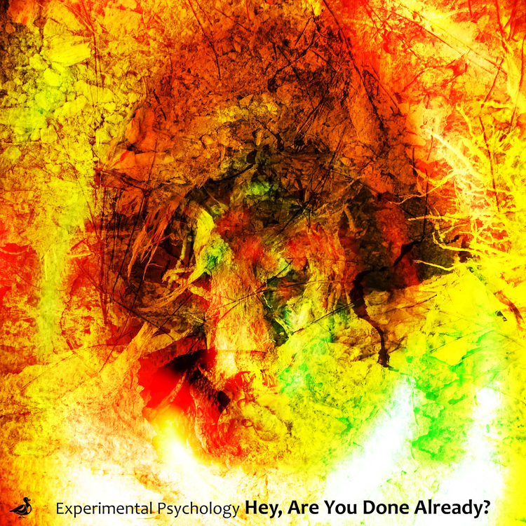 Experimental Psychology's avatar image