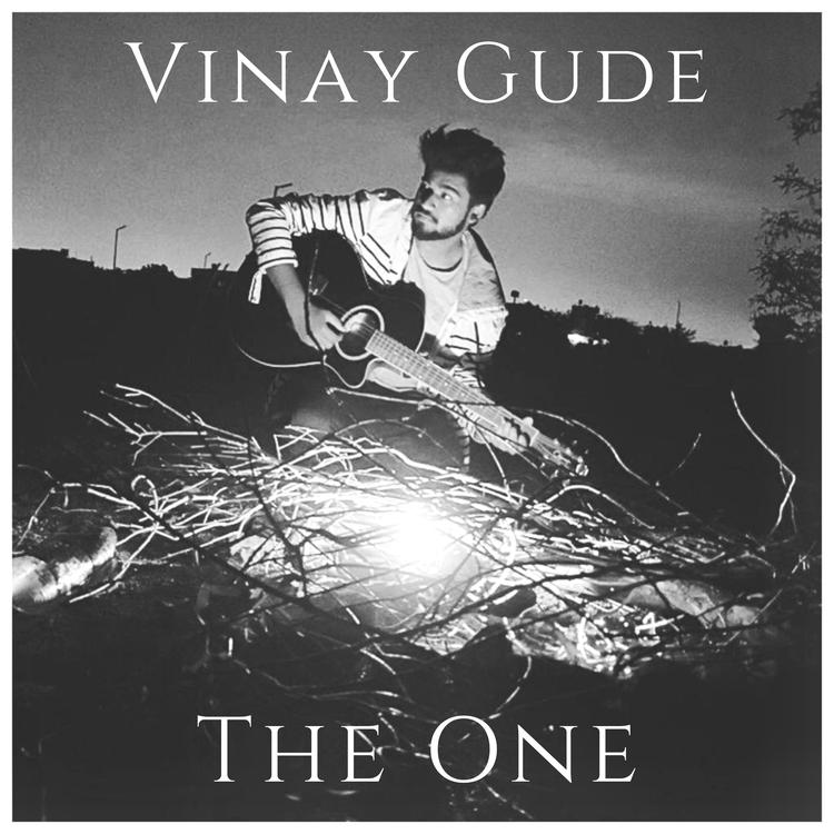 VINAY GUDE's avatar image