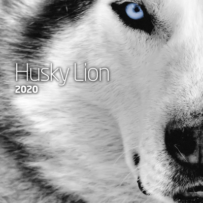 O Lobo de Wall Street By Husky Lion, Império Insano's cover