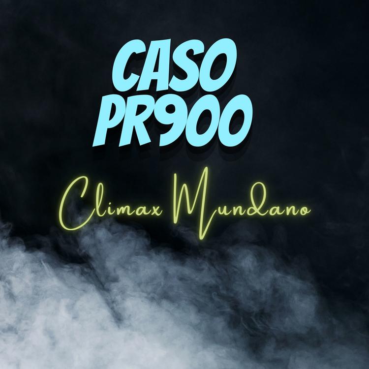 CASO PR900's avatar image
