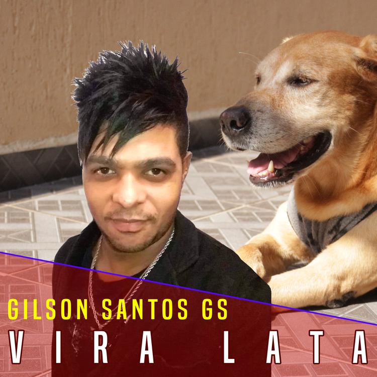 Gilson Santos GS's avatar image