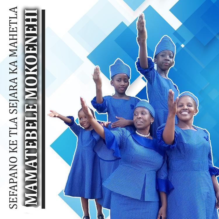 Mamatebele Mokoenehi's avatar image