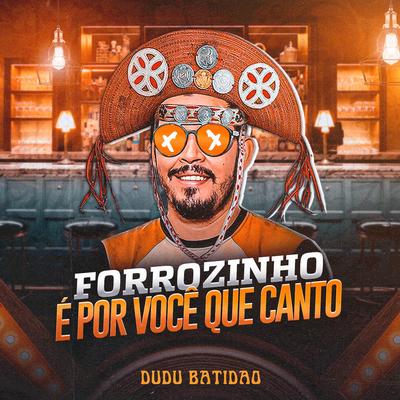 Forrozinho É Por Você Que Canto By Dudu Batidão's cover