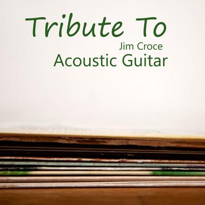 Photographs By Acoustic Guitar Tribute Players's cover