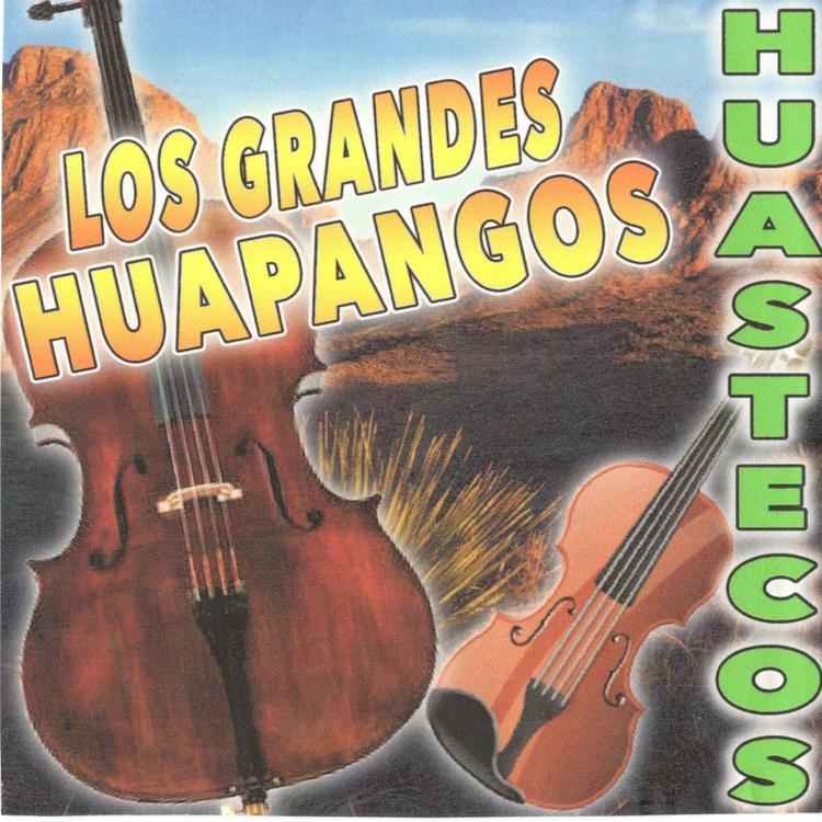 Los Grandes Huapangos's avatar image