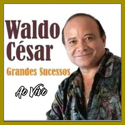 GRANDES SUCESSOS - AO VIVO's cover