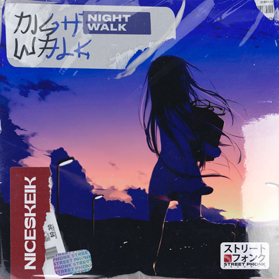 NIGHT WALK By NICESKEIK's cover