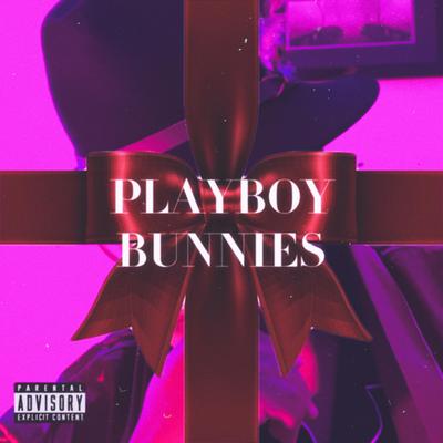 Playboy Bunnies: Twice The Fun's cover