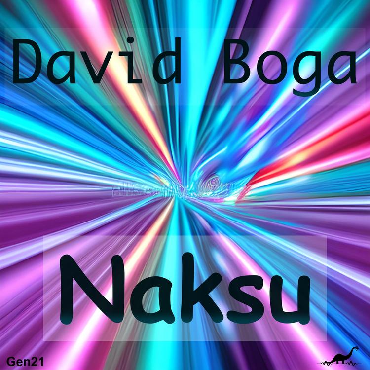 David Boga's avatar image