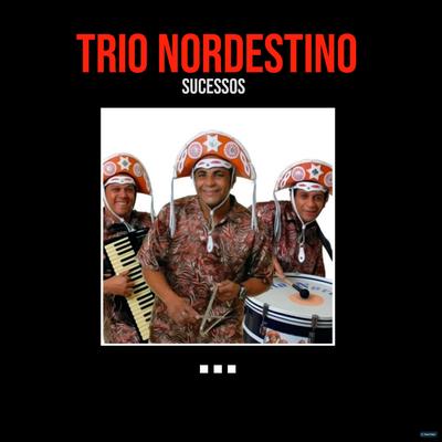 Forró no Claro By Trio Nordestino's cover