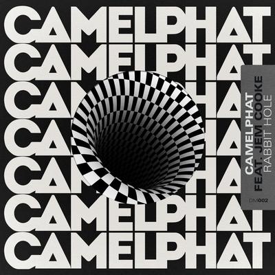 Rabbit Hole By CamelPhat, Jem Cooke's cover