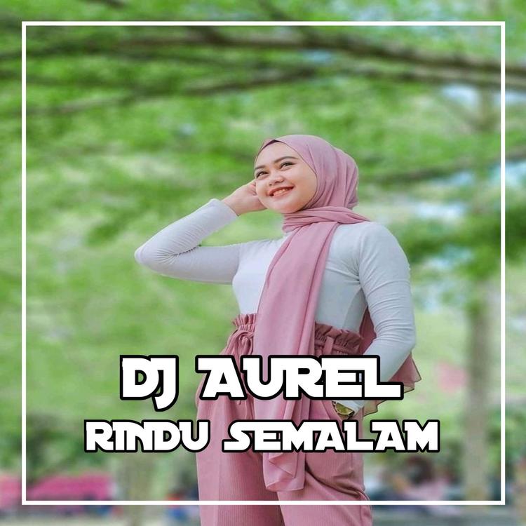 DJ Aurel's avatar image