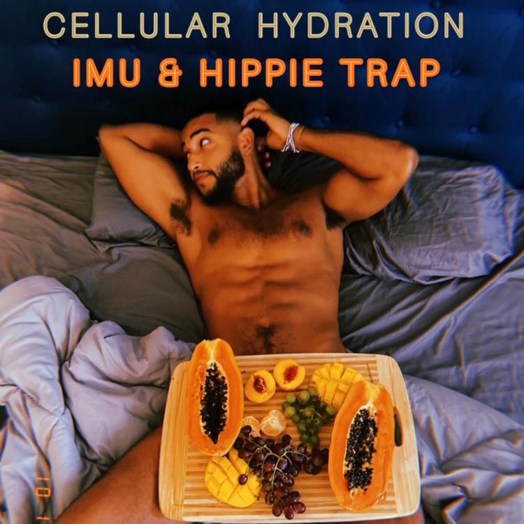 Hippie Trap's avatar image