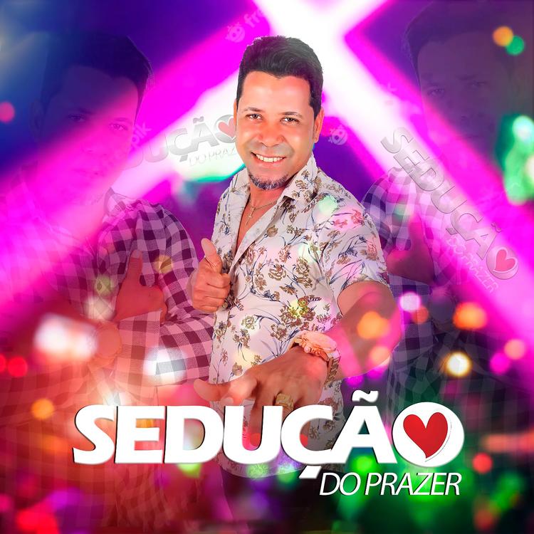 Sedução do Prazer's avatar image