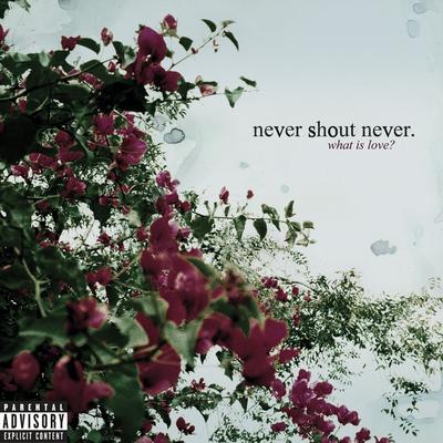 Can't Stand It By Never Shout Never's cover
