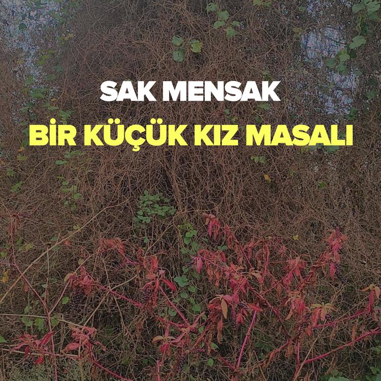 Sak Mensak's avatar image