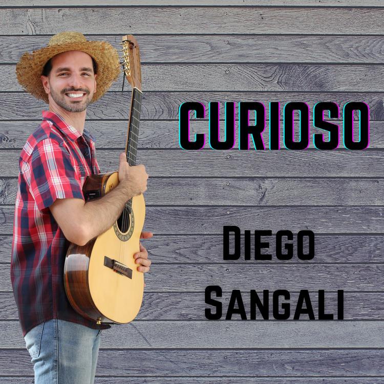 Diego Sangali's avatar image