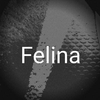 Felina By MC Vinny's cover