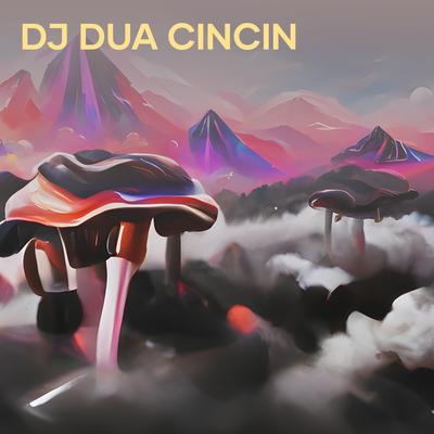 Dj Dua Cincin's cover