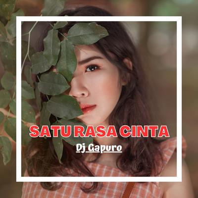 Satu Rasa Cinta Funkot Mix's cover