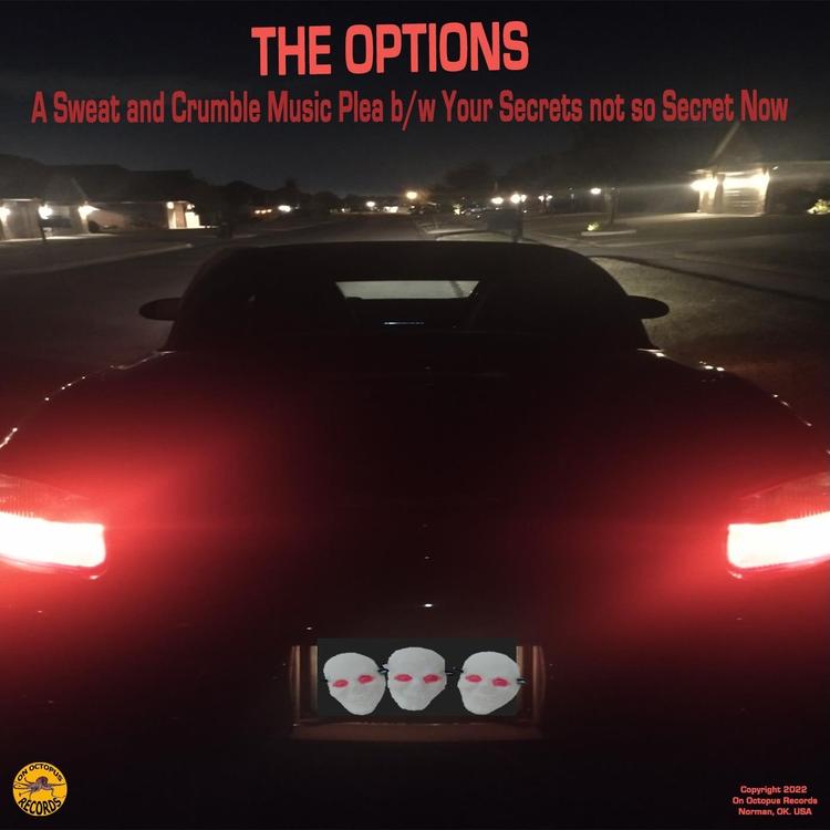 The Options's avatar image