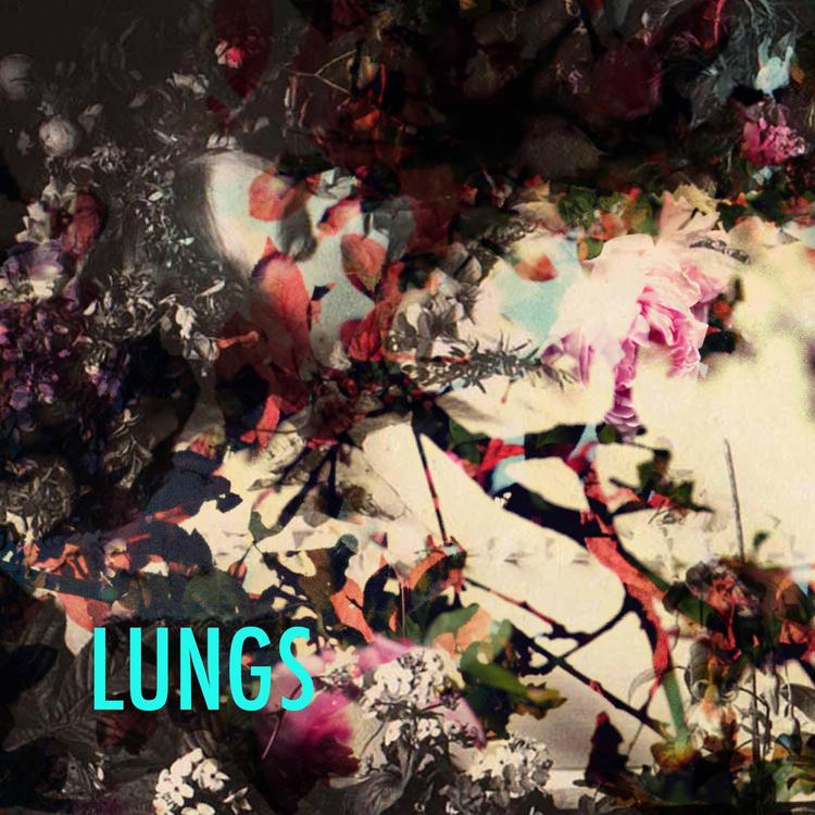 LUNGS's avatar image