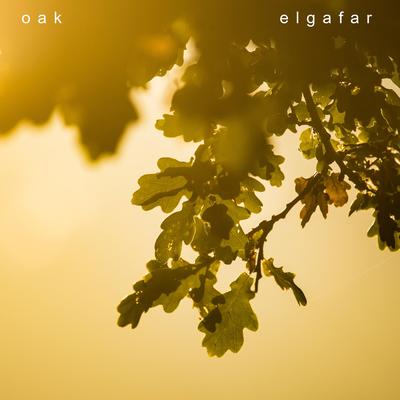 Oak By Elgafar's cover