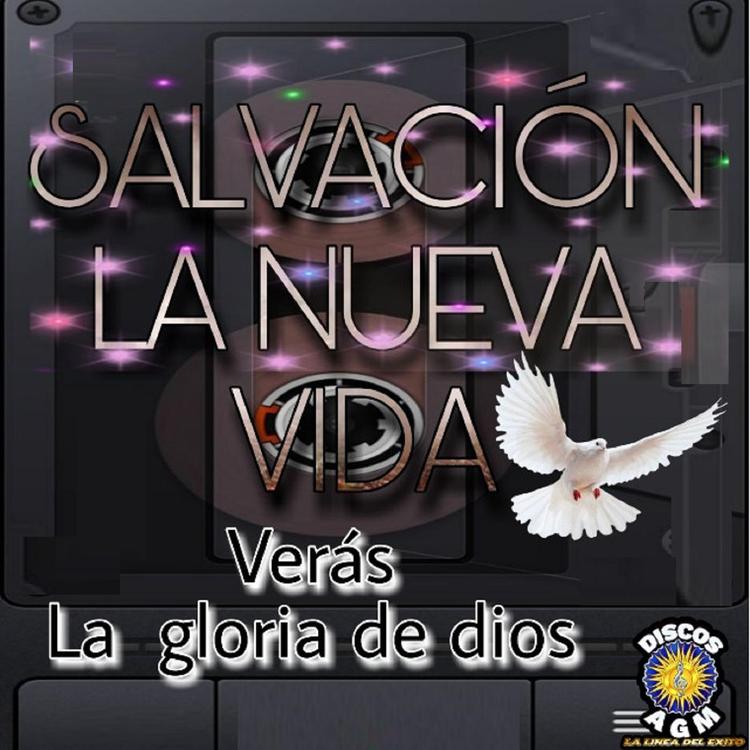 Salvacion La Nueva Vida's avatar image