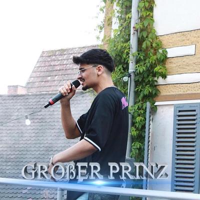 Großer Prinz's cover