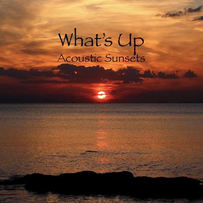 What's Up By Acoustic Sunsets's cover