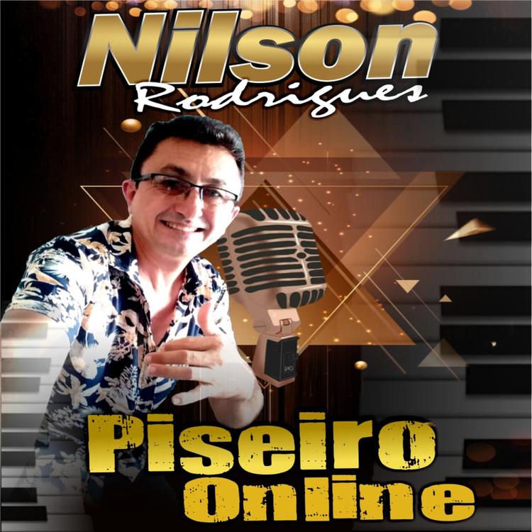 Nilson Rodrigues do Piauí's avatar image