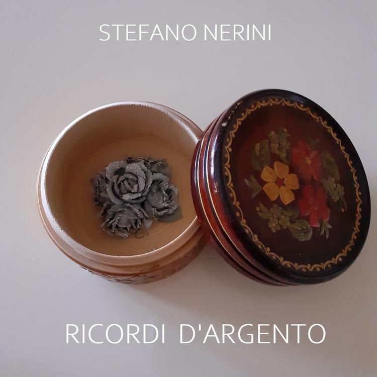 Stefano Nerini's avatar image