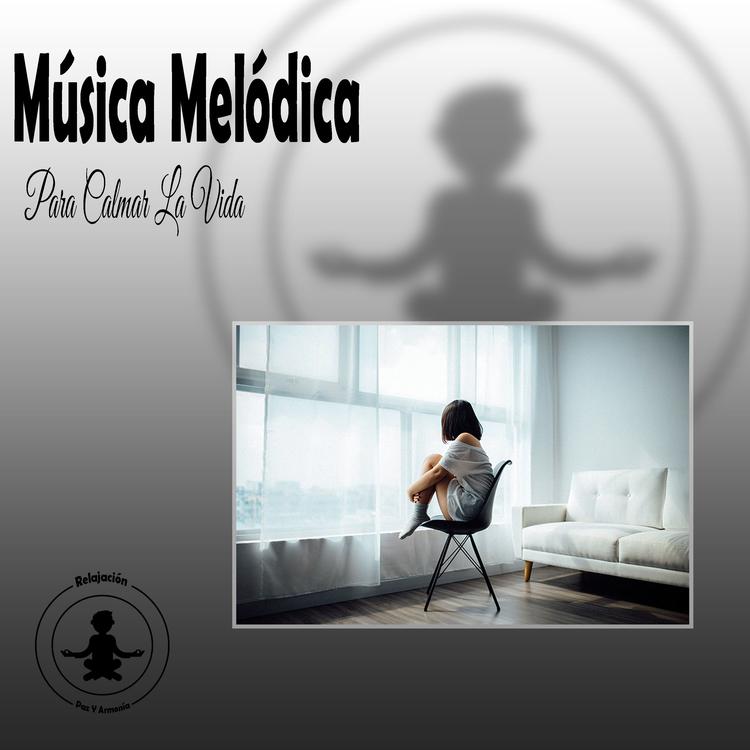 Musica De Dioses's avatar image