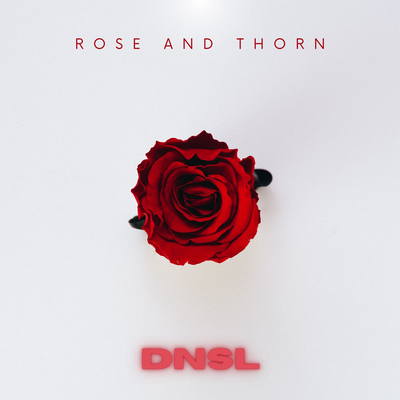 DNSL's cover