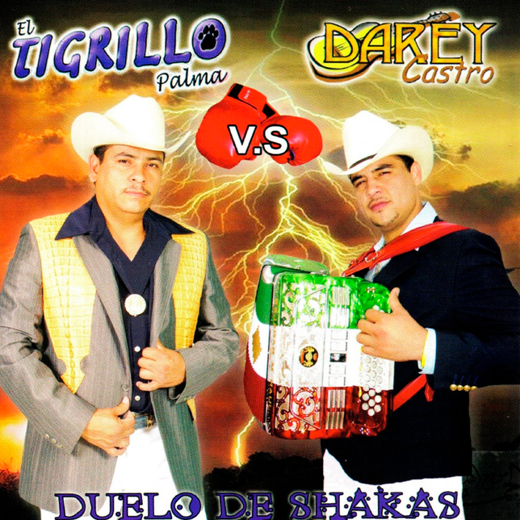 El Tigrillo Palma Vs. Darey Castro's avatar image