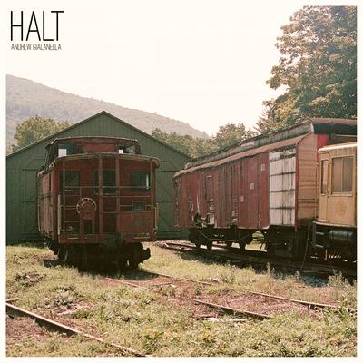 Halt By Andrew Gialanella's cover