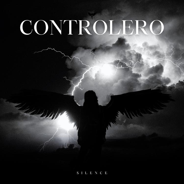 Controlero's avatar image