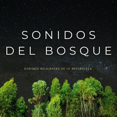 Música De Naturaleza's cover