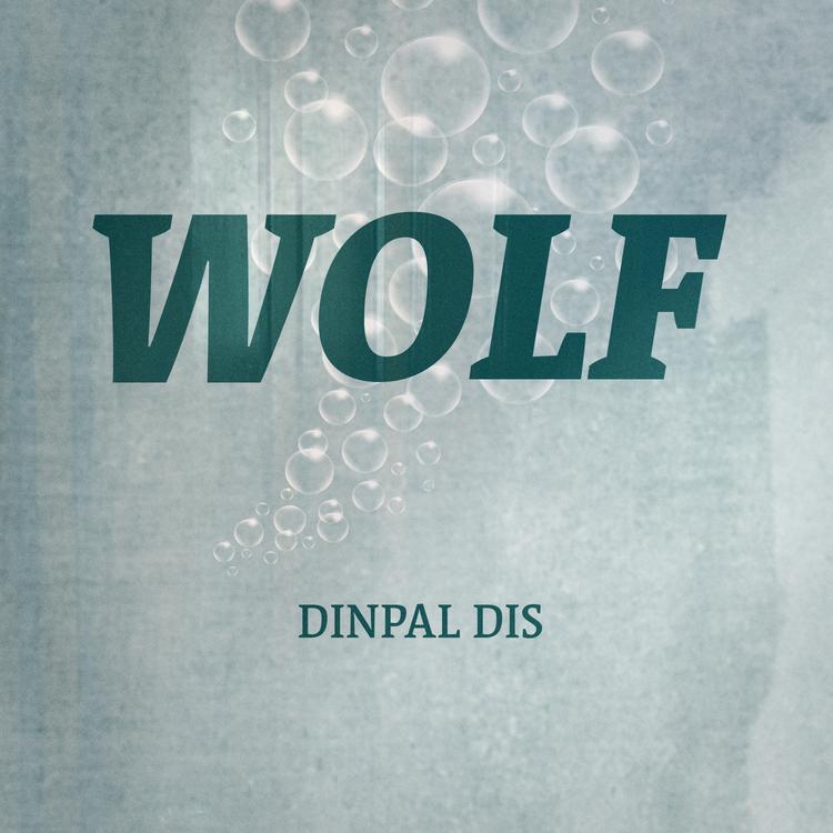 Dinpal Dis's avatar image