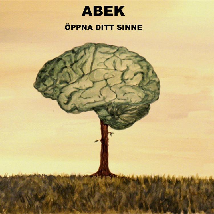 Abek's avatar image
