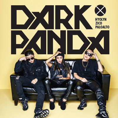 DARK PANDA's cover