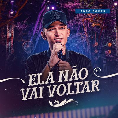 Ela Não Vai Voltar By João Gomes's cover