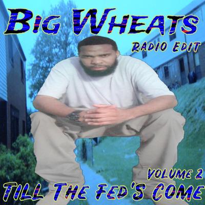 Till The Fed's Come, Vol. 2 (Radio Edit)'s cover