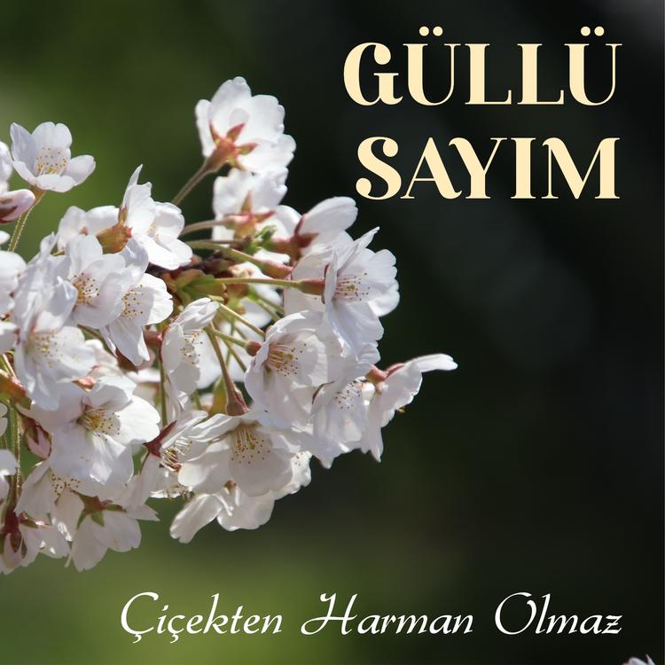 Güllü Sayım's avatar image