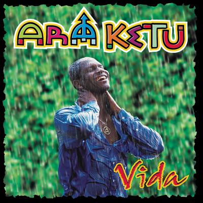 Face Oculta (Album Version) By Ara Ketu's cover
