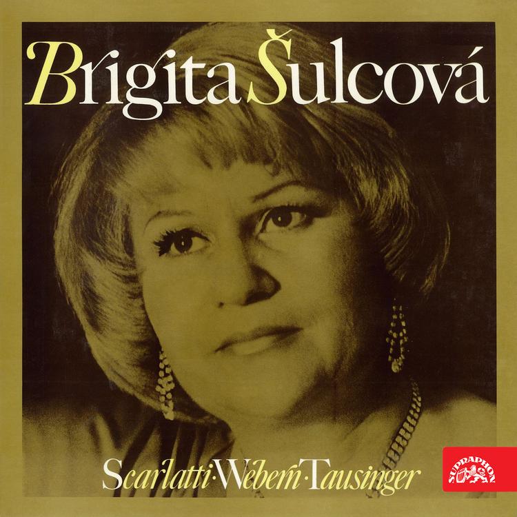 Brigita Šulcová's avatar image